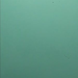 Meet your Posher, Lizette